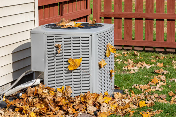 Best HVAC air duct cleaning  in New Brockton, AL